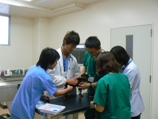 juui02.jpg