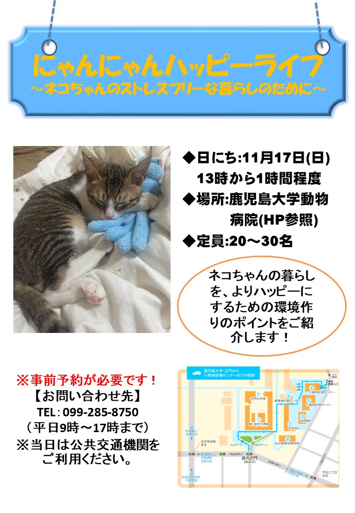 にゃんにゃんハッピーライフ~ネコちゃんのストレスフリーな暮らしの