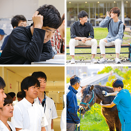 鹿児島大学イメージ