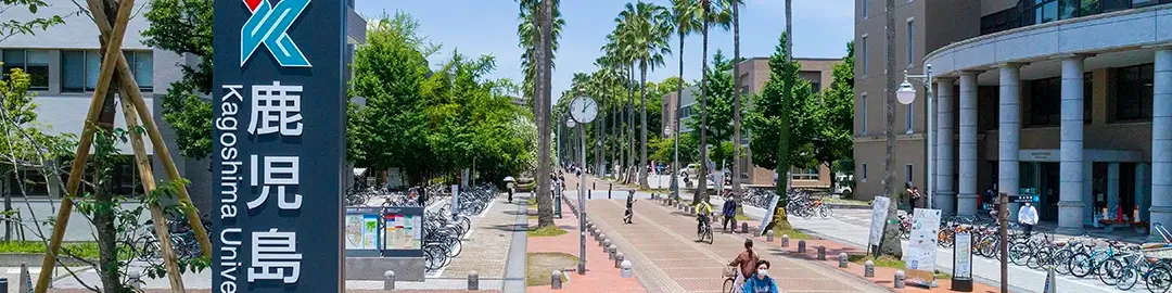 大学の歴史といまイメージ