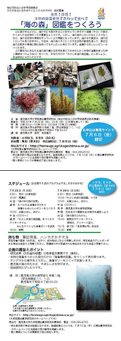180722-29_hiramekitokimeki_sci_poster.jpg