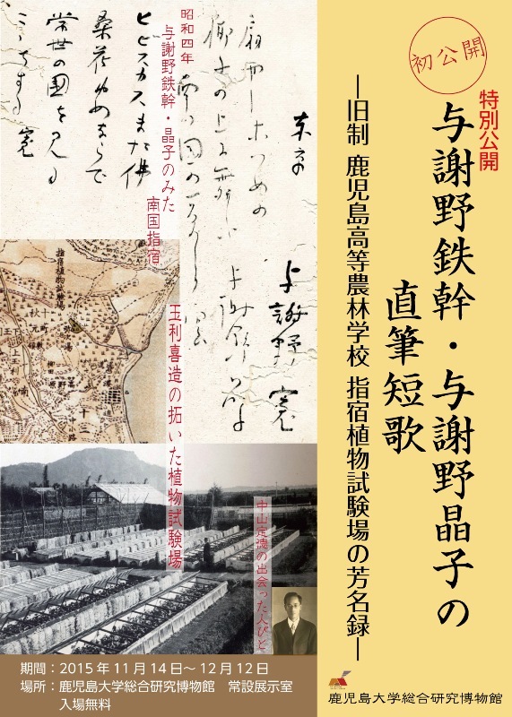 短歌 与謝野 晶子 【その子二十櫛にながるる黒髪のおごりの春のうつくしきかな】徹底解説!!意味や表現技法･句切れなど