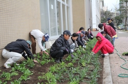 150218agri_volunteer01.JPG