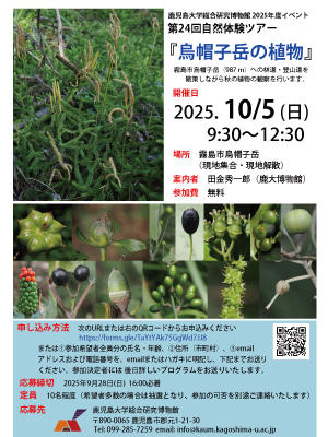 toriboushi251005.jpg