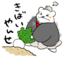 kibaiyanse.png
