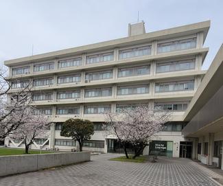 dennkidennsikougakukatou_sakura.jpg