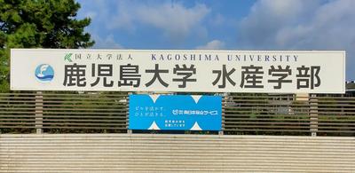 minaminihonsa-bisu_2.jpg