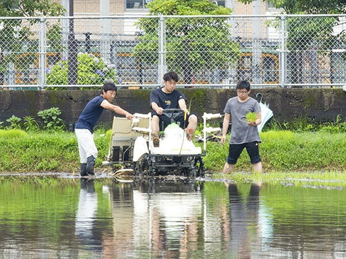 190702nougakubu_taue_pic04.jpg