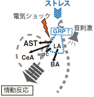 20220112sutoresu01.jpg