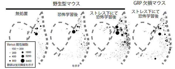 20220112sutoresu04.jpg