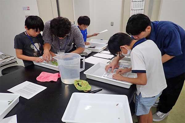 20240806hiramekitokimeki-2.jpg