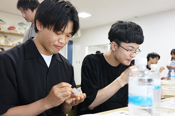 20250624hamigaki01.jpg
