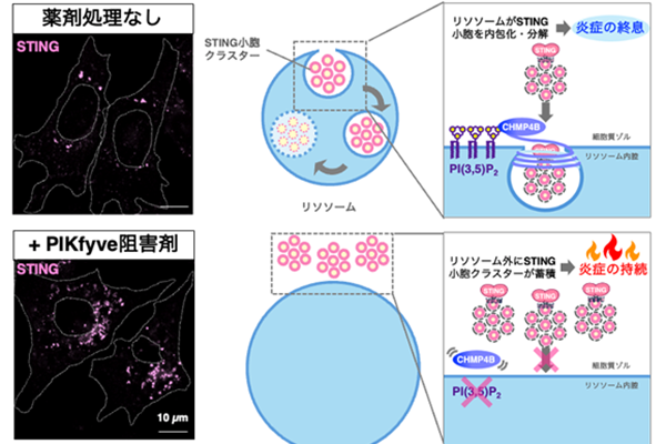 20260528news001.png