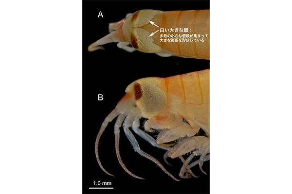 20260615ebi02.png
