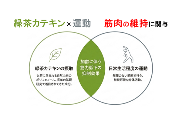 20260702ryokutya01.png