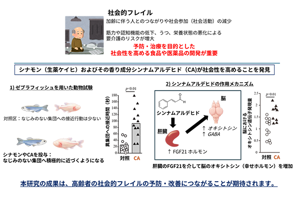 20260723hpshinamon03.png