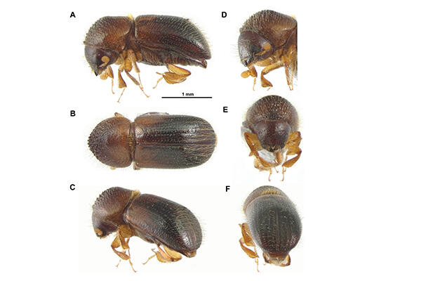 20260901Figure2.jpg