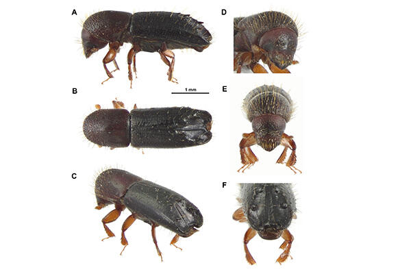 20260901Figure3.jpg