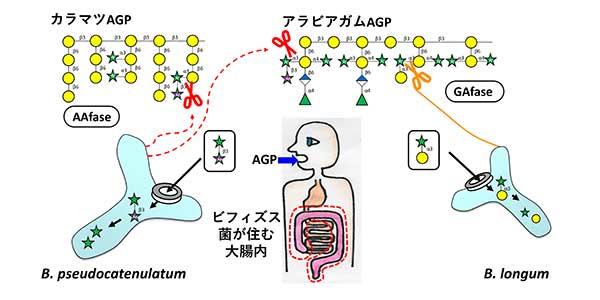 230502_nougaku_AAfase.jpg