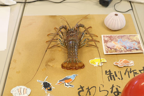 241105daigaksai_okunaii_04.jpg