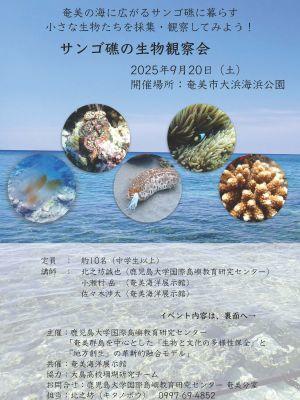 251009_tousho_amami06.jpg