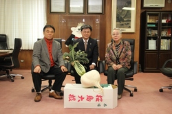 150205sakurajimadaikon.JPG